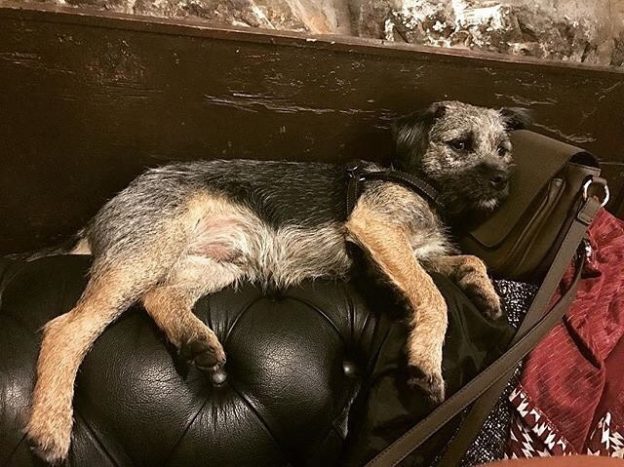 “Right neebs, you get them in and l’ll kick back here. Hurry up though!” Mac at Dram Glasgow – pic @dramglasgow