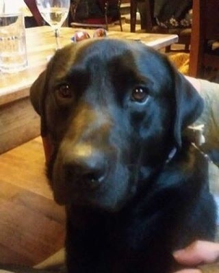 Elementary! Here’s Holmes in the Espy, Portobello – pic Janice Watson