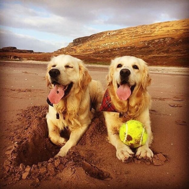 The Big Sand, Applecross. What a fun time we had, can you tell? – pic @goldenbrothers15