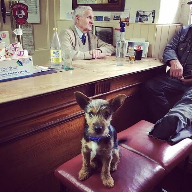 This is Buddy at The Fiddichside Inn, Craigellachie run by Joe Brandy 86 years young. Dogs always welcomed by Joe – from Nikki Sheed