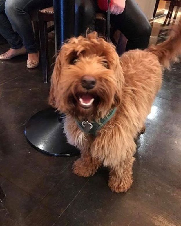Guus in the Palm Court, Aberdeen – pic from Marc Byers