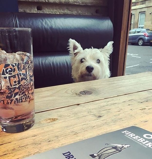 Hiya! (at Firebird, Glasgow) – pic @louise_mackay