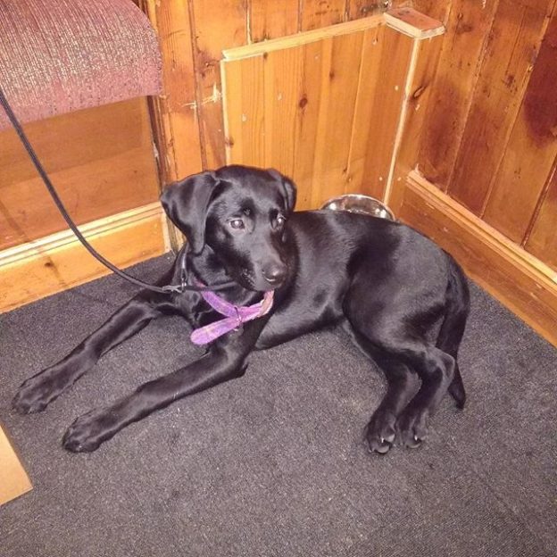 Isla in her favourite pub The Boathouse in Anstruther – pic Paul Reynolds