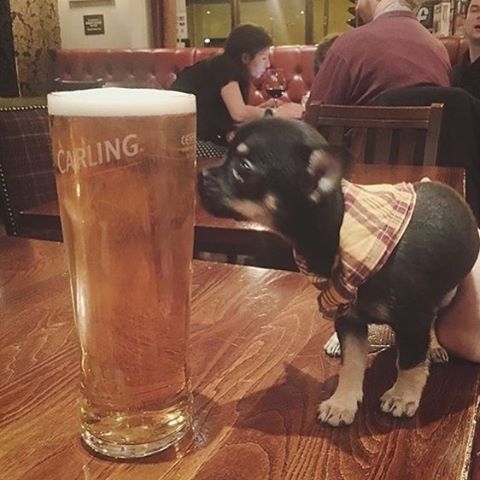 “My first pint” – pic @halliepinot⠀