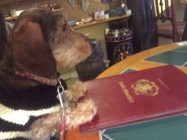 Wee Ruby ordering some scran at Beggars Belief in Portsoy – pic from Rosa Ceberio
