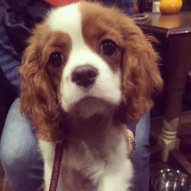 Harry at the Southern Bar, Edinburgh – pic @thesouthernbar⠀