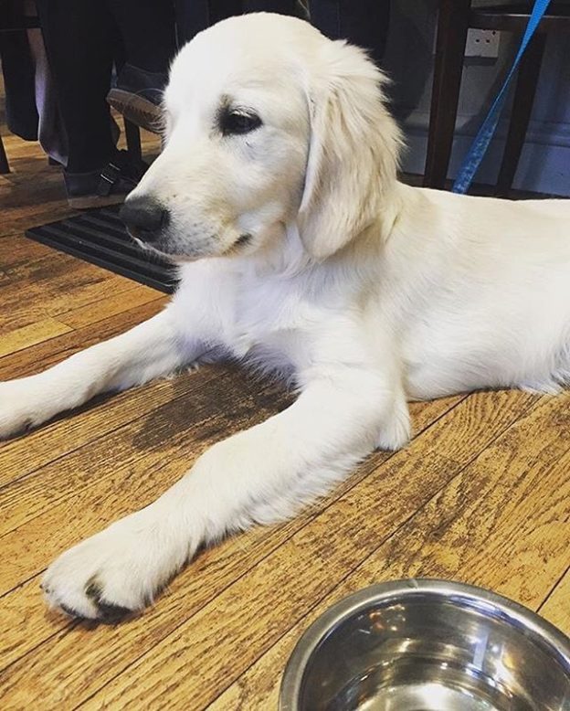 Here’s Hunter relaxing in the Mayfly Dundee – pic @mayflydundee⠀