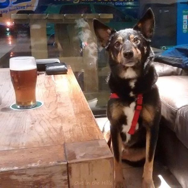 Here’s Moray at Mambo’s in Aviemore – pic from Tim Hall