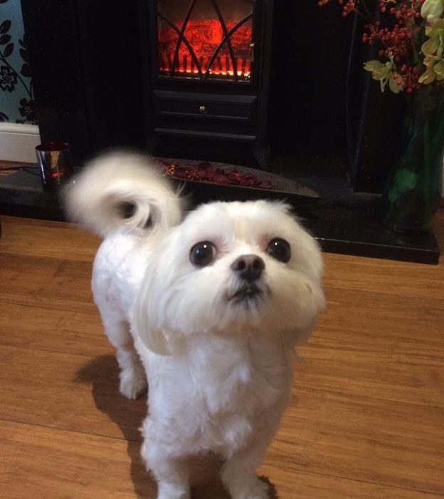 Hey I’m in The Crown in Peebles. Cosy and warm! – pic Rachel Scott