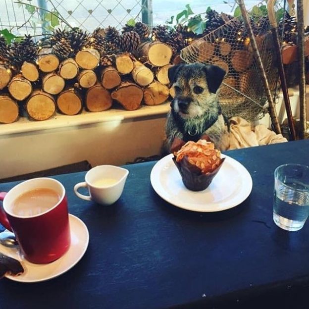 Margot at Hammerton Stores in Aberdeen – pic Samantha Jane.