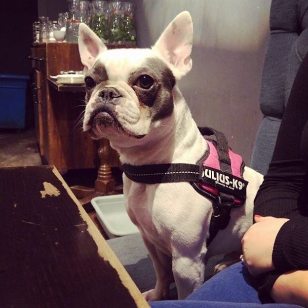 Matilda enjoying the Hillhead Bookclub in Glasgow – pic Chloe Martin