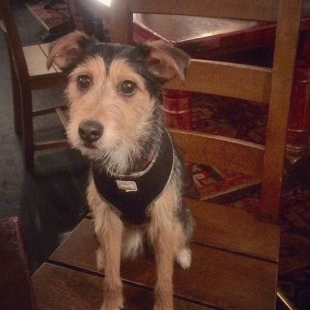 Wee Bella at The Aragon Bar, Glasgow – pic Claire Little