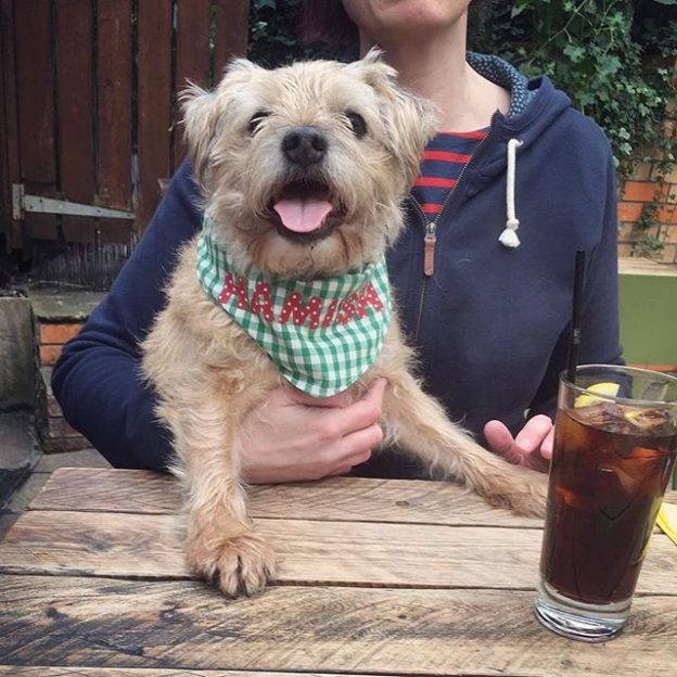 Wee Hamish in Brel bar, Glasgow – pic ‪@LynnieYankee