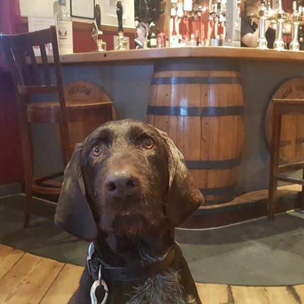 “What do you mean it’s my round?” Bruar at the Mash Tun, Aberlour – pic from Gavin Belton