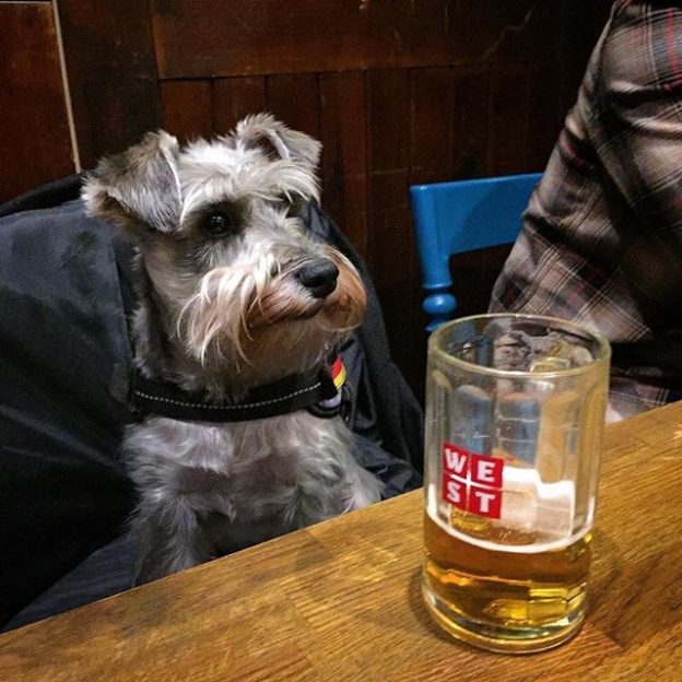 Aye, just kicking back in the Brel in Glesga, pal – pic @ceegasaurus