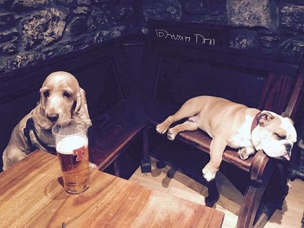 Aye, one of those nights at The Royal Hotel in Comrie – pic from Sharonne Bansal