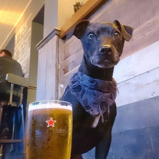 Bob at The Crown in Caversham – pic @itsme_bob