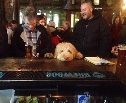 Hello? I’mmmmm waiting! – pic @_laurawood1_