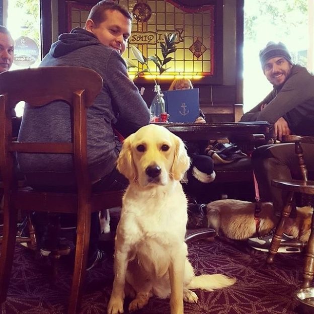 “My first outing in a Scottish pub! A week after my new family rescued me” – from Penny @belle_and_penny