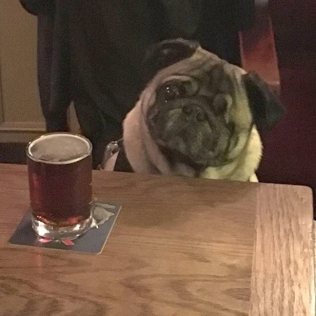 Repost: @nellofolddrurycoventgarden: “Proud to be part of @dugsnpubs and so is Marty #dogfriendly