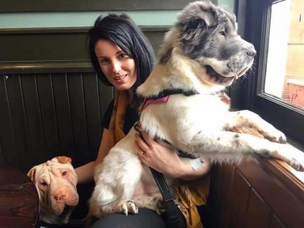 Ringo and Pepper in The Ship Inn, North Berwick – pic from Jen Carrie