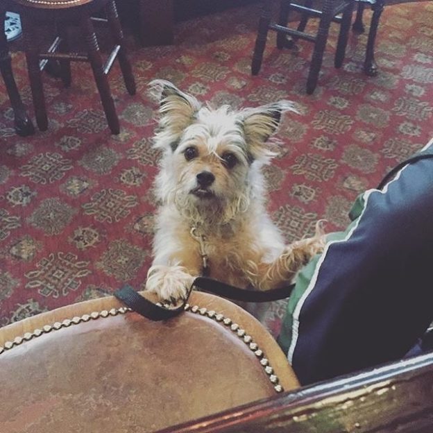 Sammi Dug at the Golden Rule, Edinburgh – pic @mvrbchd1⠀