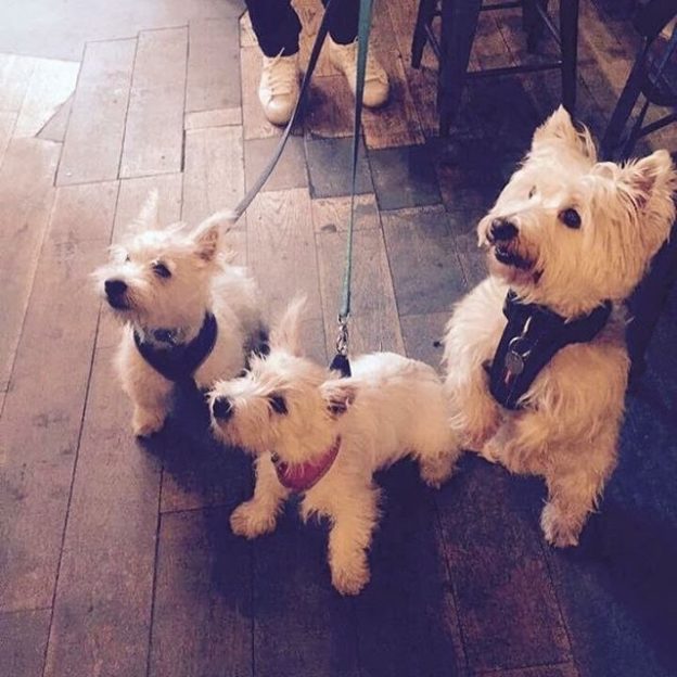 Twins Ronnie and Reggie with Uncle Junior (at @BrewdogNewc) – pic from Lee Watkinson
