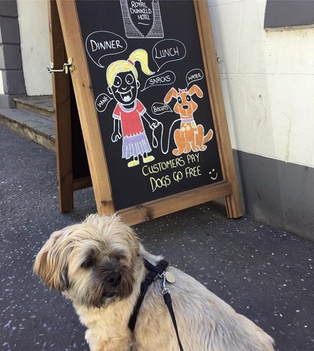 Check out this sign pal. Bailie Dug outside the Royal Dunkeld