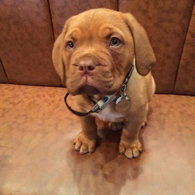 Frank on his first visit to The Ox, Edinburgh – pic @the_ox_edinburgh⠀
