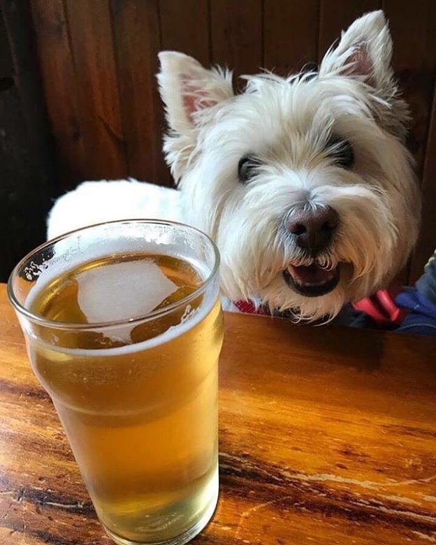 Wee Cally at the Clachaig Inn – pic Doug Rennie