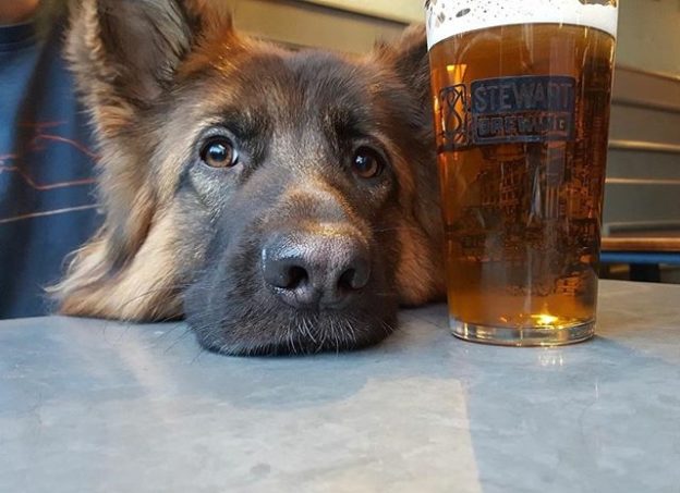 Azzi was not impressed when she found out it was her round (again) at the Auld Hoose, Edinburgh – pic from Rob Ward
