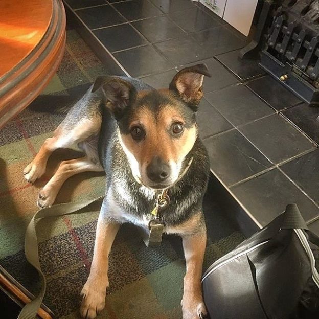 Here’s Munro in the Atholl Arms Hotel, Dunkeld – pic @walkingmunro⠀