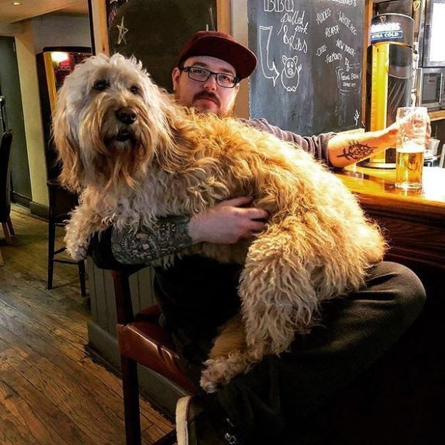 “@montysdunfermline:  Stu in with Ollie. Did you know we’re dog friendly?⠀
” #dugsNpubs
