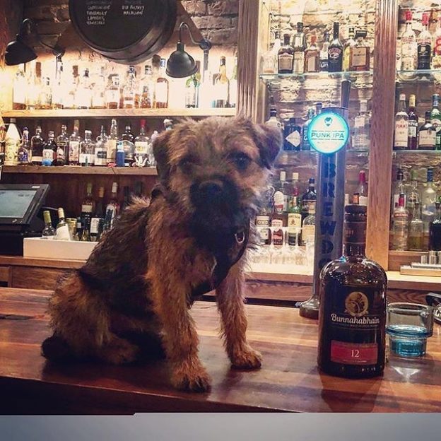 “@the_ox_edinburgh:  Little Bunna by her namesake, Bunnahabhain a nice smoky 12 year old malt from Islay. ” #dugsNpubs