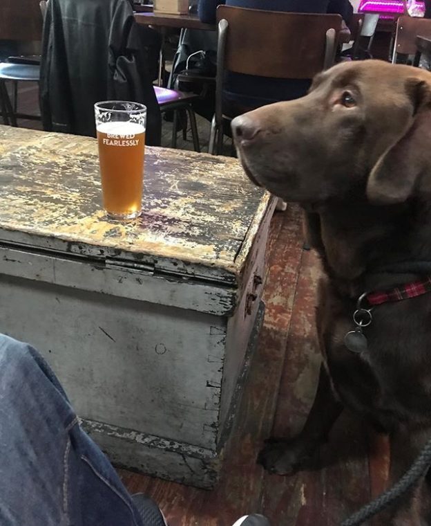 Just hanging out in @stlukesglasgow – pic from Andy #dugsNpubs Dugs.Pub