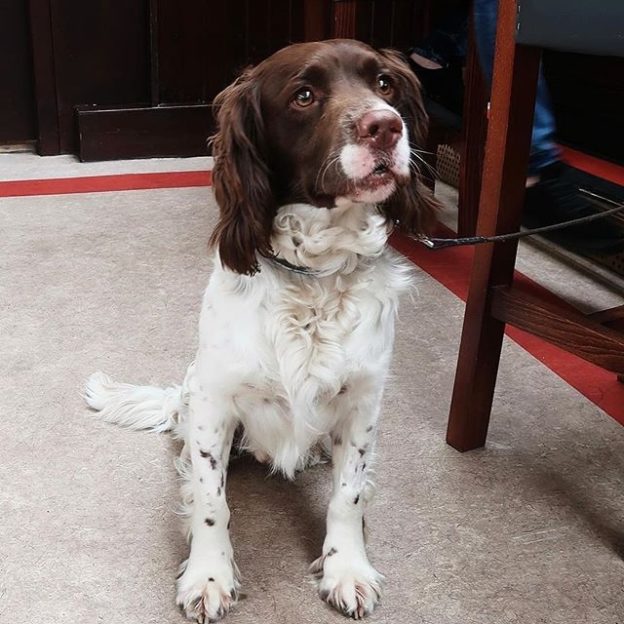 Wee Monty at the Dean Tavern Newtongrange – pic Laura Smith