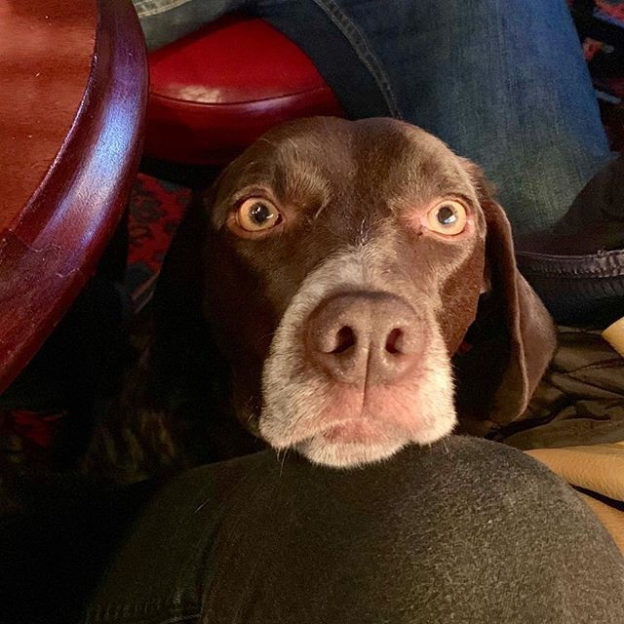 “@frey_yeah:  I’m staaaarving” #dugsNpubs