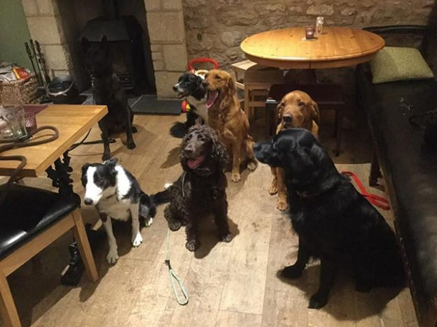 Here’s a Group of pals chilling at The Plough Inn Leitholm – pic David McLean