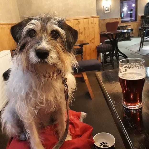 “@kathybrandish: Pint in The Winking Owl, Aviemore” #dugsNpubs