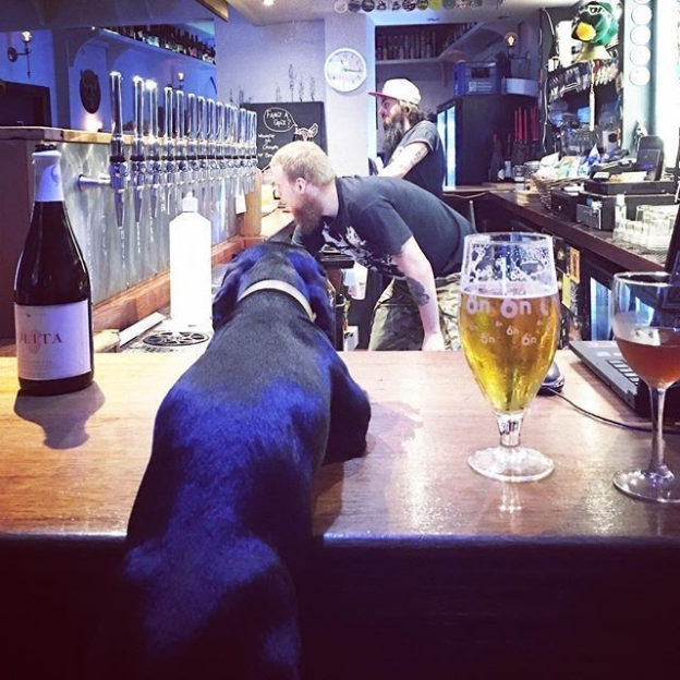 “@roland_sausage: “Pour that beer”, “clean that line” – Running the bar ‘cause these chumps cannae manage themselves ” #dugsNpubs