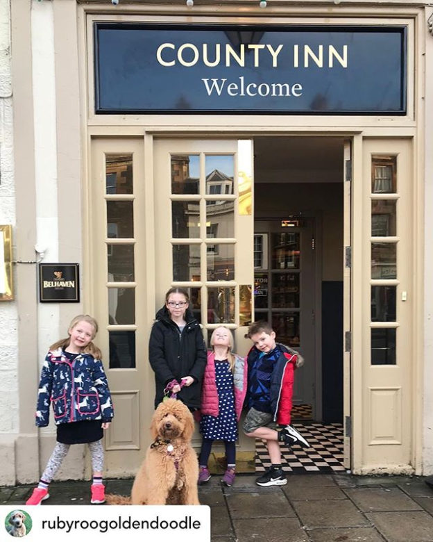 All the gang out today! Dugs n’ Kids…