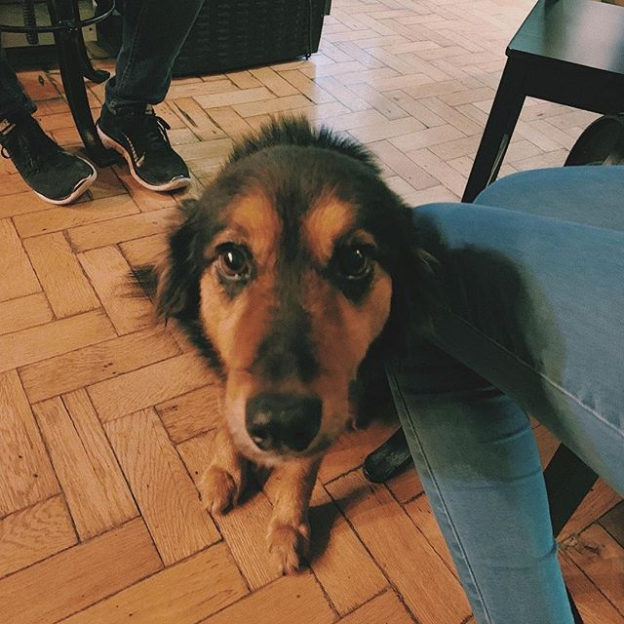 That face! Cheers @scranbistro:⠀
…⠀
“When work becomes 100 times better”