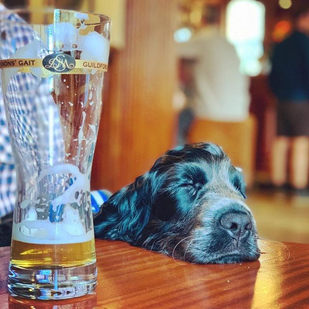 Aye, one too many at The Cumberland, Embra – pic @gingemccabe