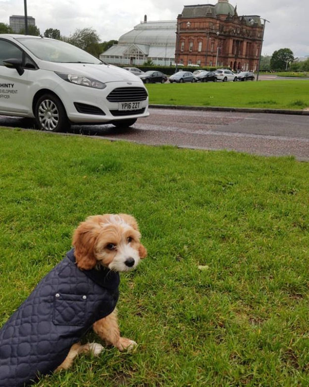 Awww wee Archie