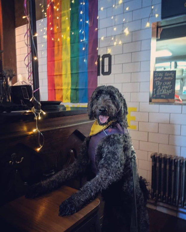 Here’s @poppylabdoodle at The Barket in @francosgla Glasgow